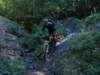 dsc05278_small.jpg