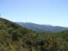 dsc05279_small.jpg