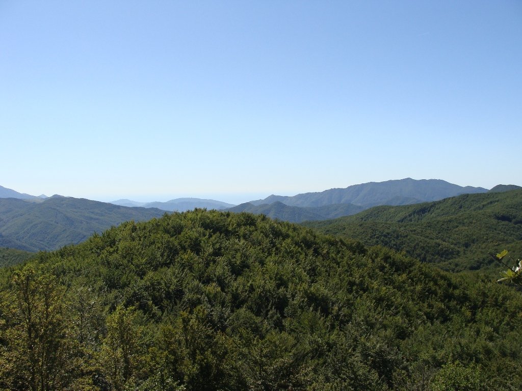 dsc05280.jpg
