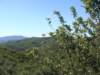 dsc05281_small.jpg