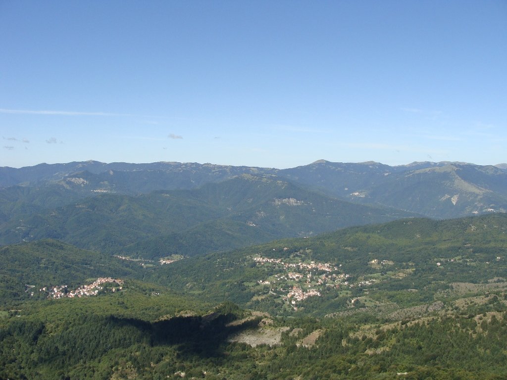 dsc05288.jpg