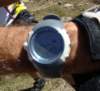 dsc05296_small.jpg