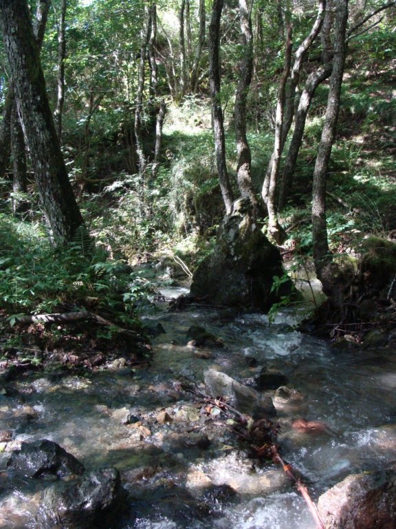 dsc05301.jpg