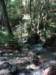 dsc05301_small.jpg