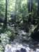 dsc05302_small.jpg