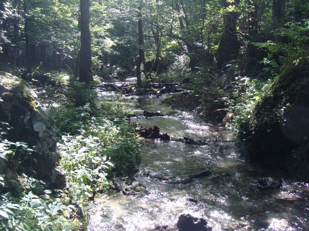 dsc05303.jpg