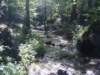 dsc05303_small.jpg