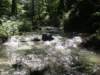 dsc05304_small.jpg