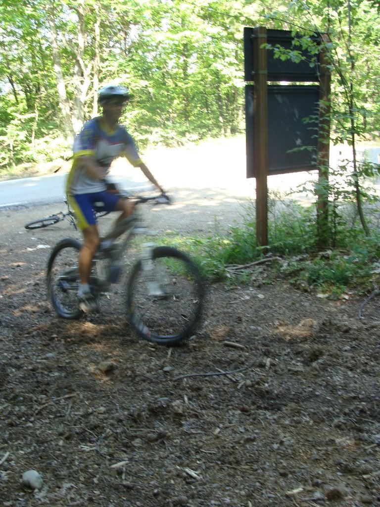 dsc04512.jpg