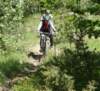 dsc04183_small.jpg