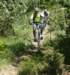 dsc04188_small.jpg