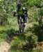 dsc04191_small.jpg
