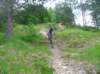rovegno0606053_small.jpg