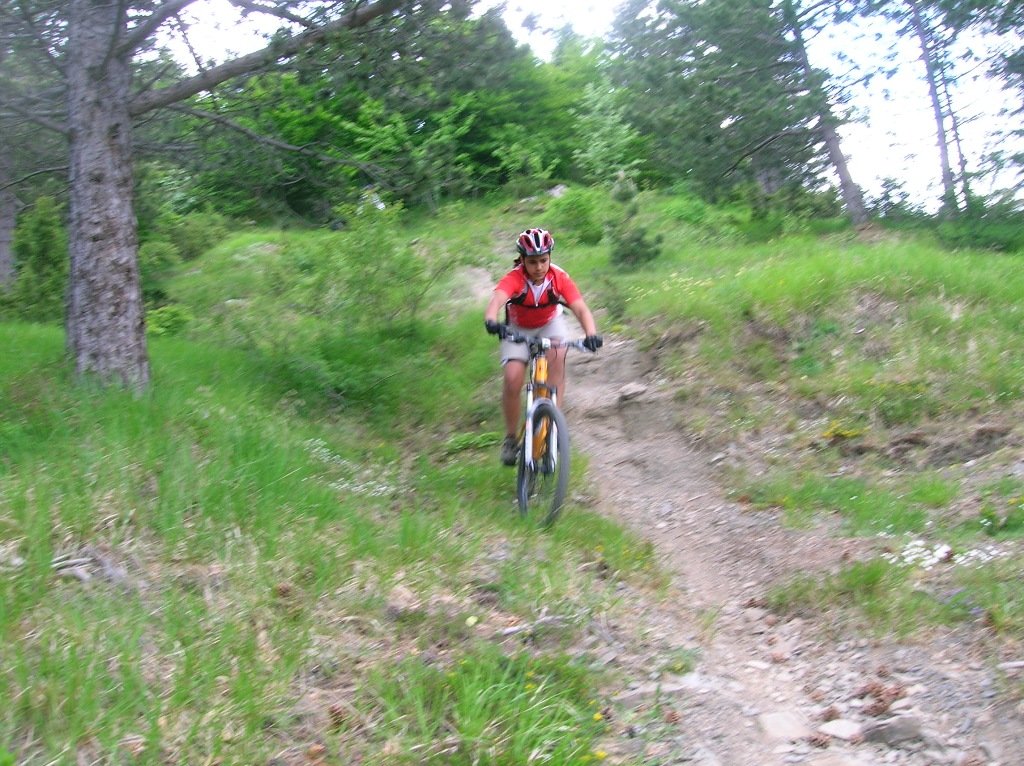 rovegno0606056.jpg