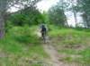 rovegno0606057_small.jpg