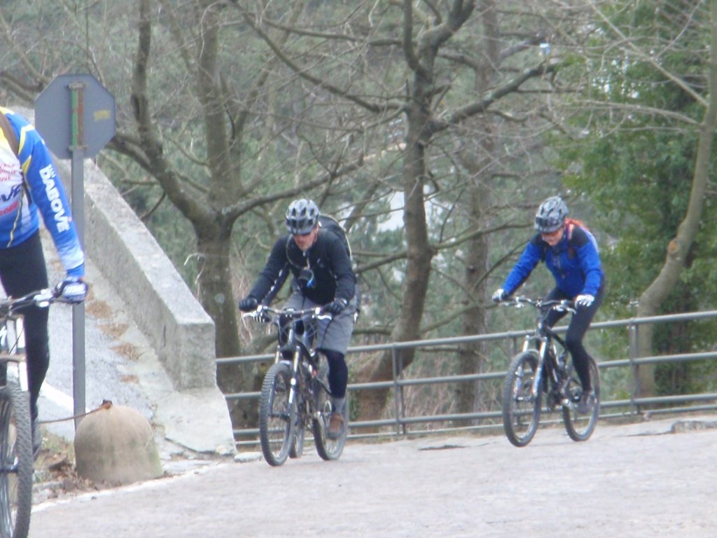 p1030204.jpg