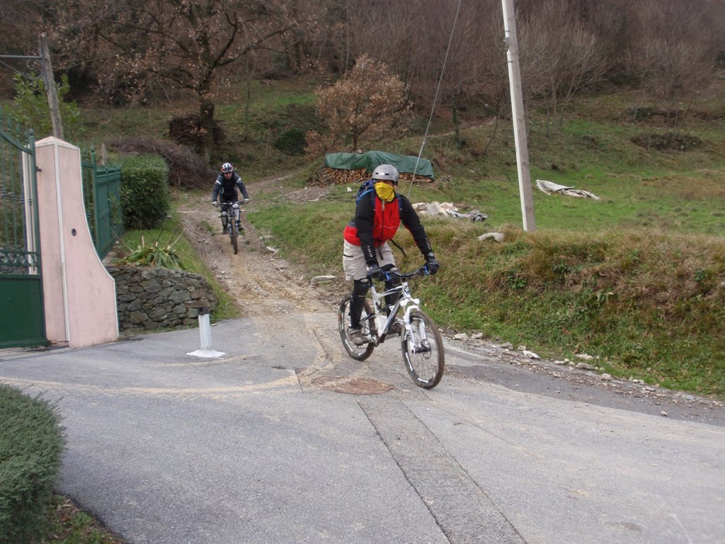 p1030247.jpg