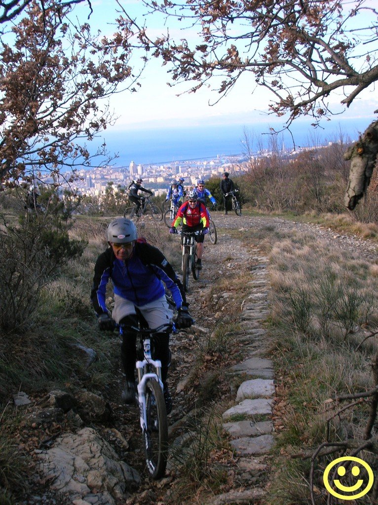 photo17.jpg