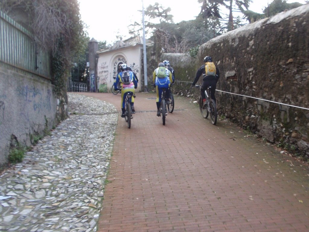 p2070011.jpg