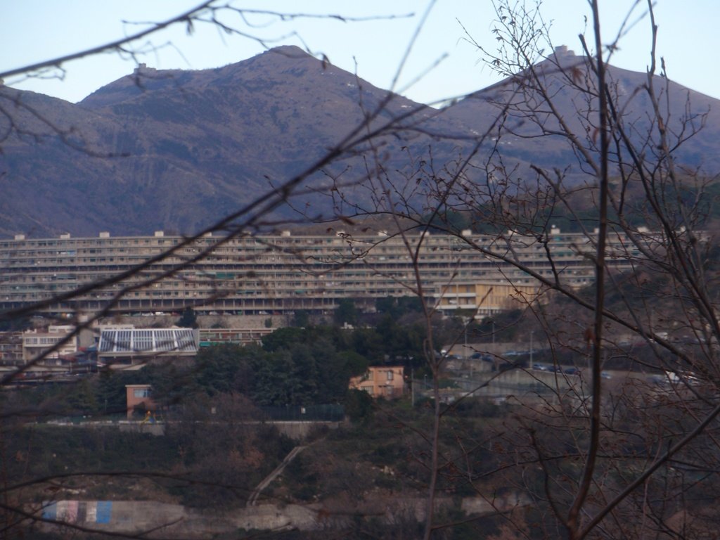 p2070032.jpg