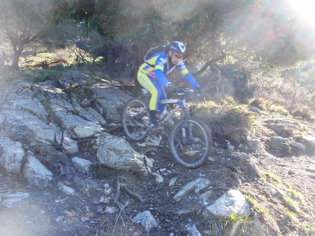 p2070102.jpg