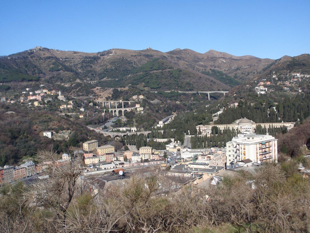 p2070108.jpg