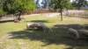 dscn1130_small.jpg