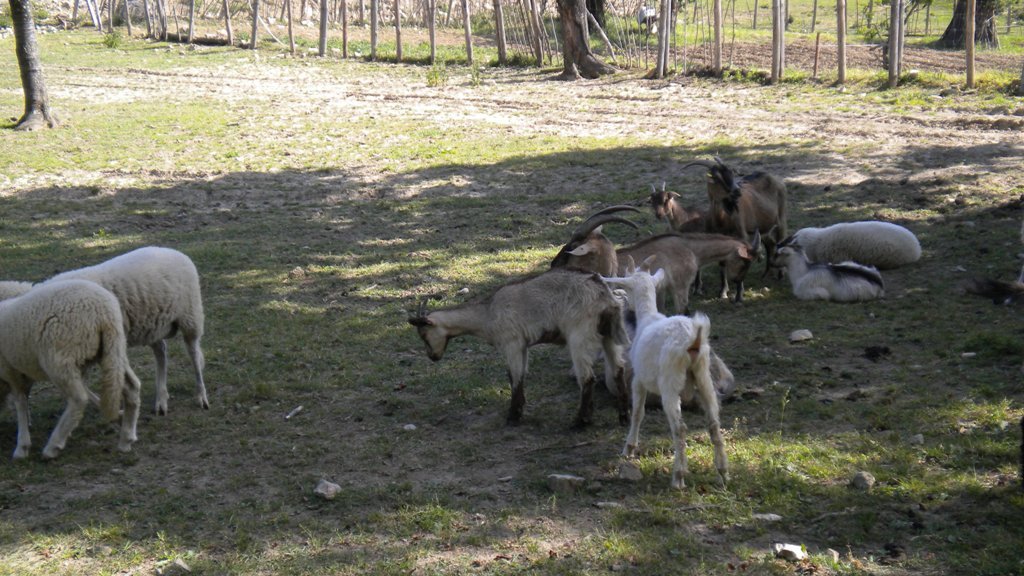 dscn1131.jpg