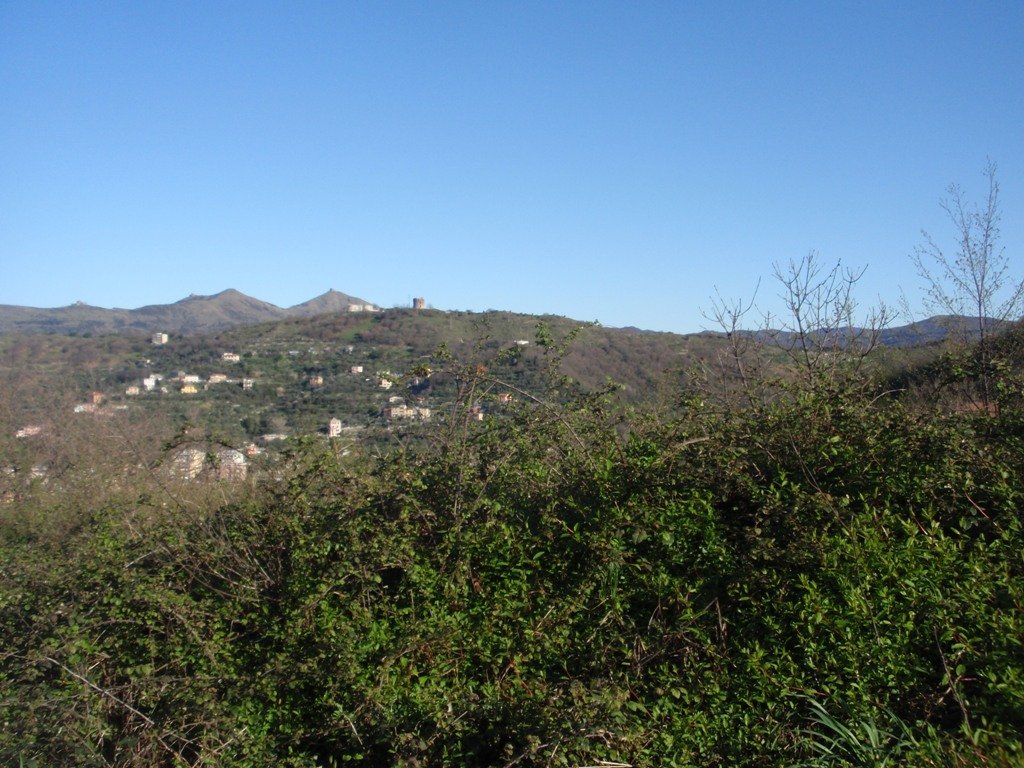 p4050163.jpg