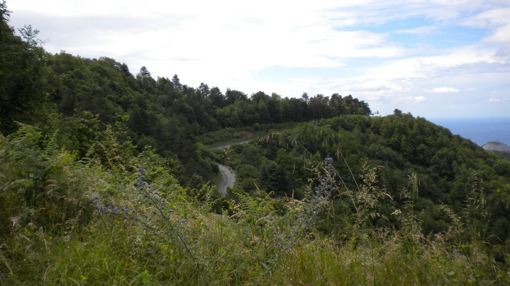 dscn1389.jpg