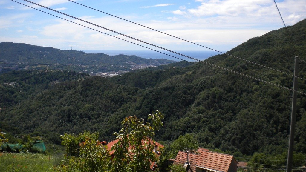 dscn1407.jpg