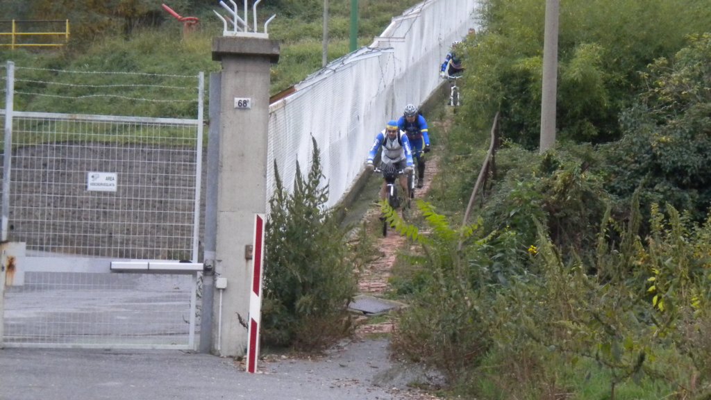 dscn3017.jpg