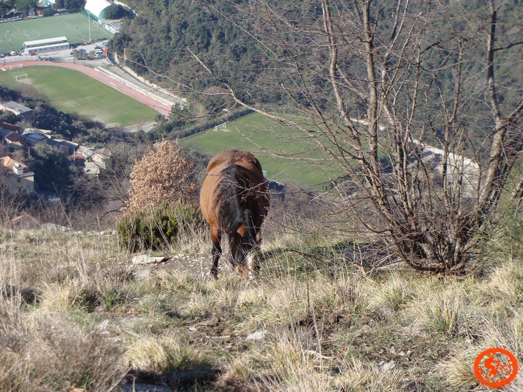 dsc03102.jpg
