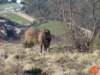 dsc03102_small.jpg