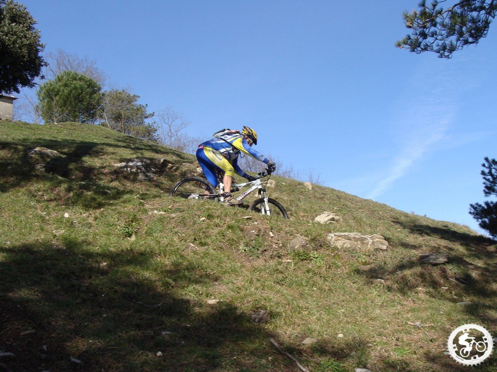 dsc03130.jpg
