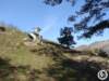 dsc03132_small.jpg