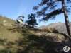 dsc03133_small.jpg