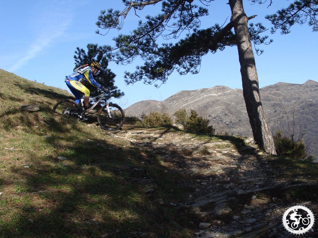 dsc03134.jpg