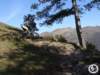 dsc03134_small.jpg