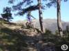dsc03135_small.jpg