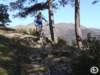 dsc03136_small.jpg