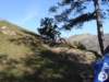 dsc03137_small.jpg