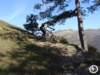 dsc03138_small.jpg