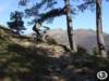dsc03139_small.jpg