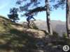 dsc03141_small.jpg