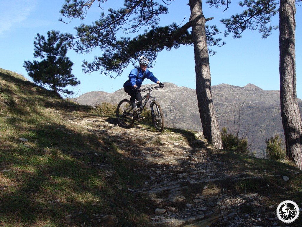 dsc03142.jpg