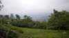 dscn0986_small.jpg