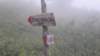 dscn0990_small.jpg