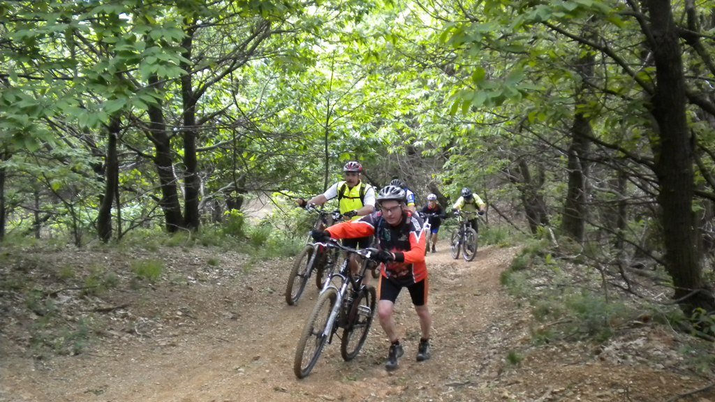 dscn1006.jpg