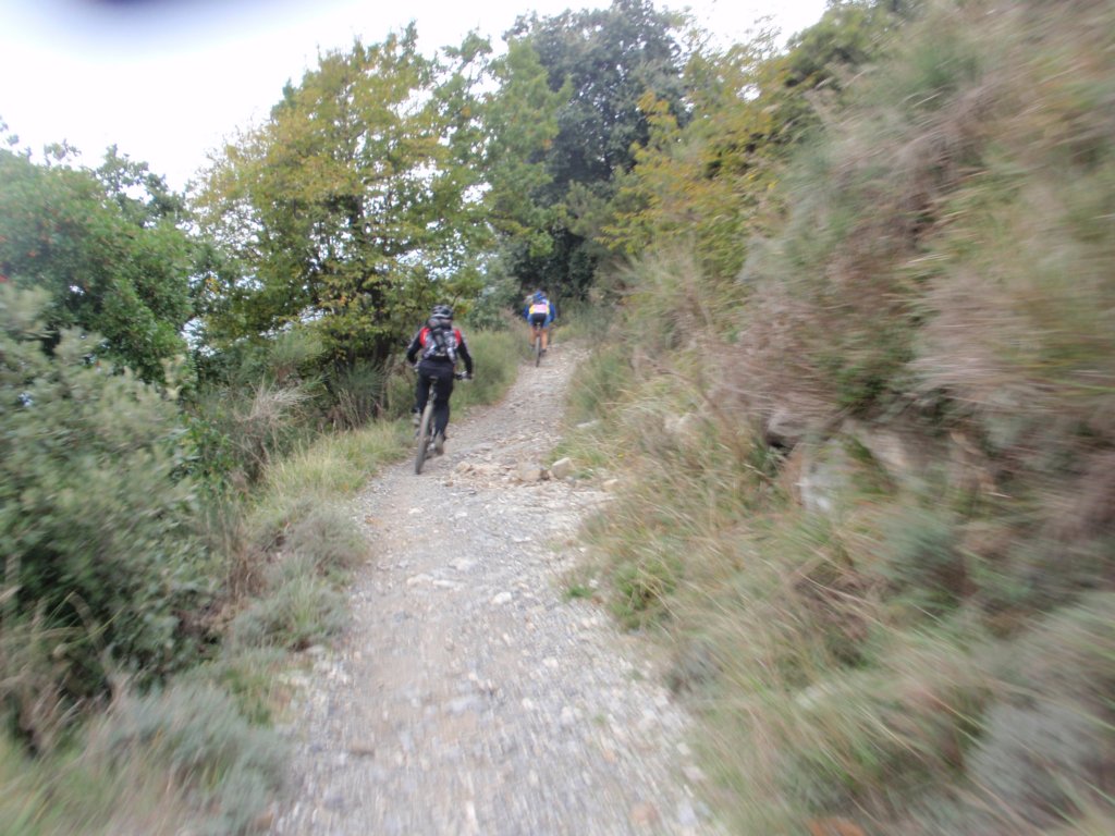 pa240085.jpg